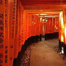 別の角度の千本鳥居