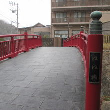 たもとにねね様がいます