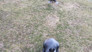 宍道湖の夕日を眺めるためのスポット