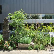 猫塚 (前方が記念館)