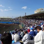 浦添運動公園 ゆくい処の昼食　浦添市民球場で東京ヤクルトスワローズとの練習試合観戦　