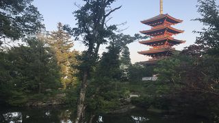天橋立が見える古いお寺