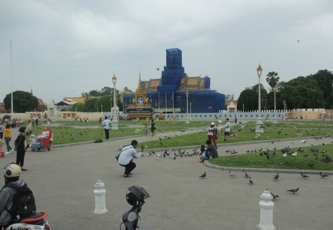 整備されたきれいな緑