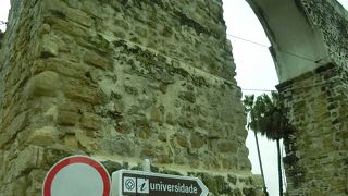 大きな水道橋です