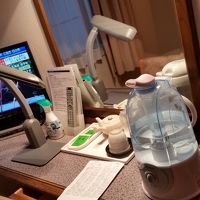 加湿器と電気スタンド