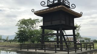 これからが楽しみ