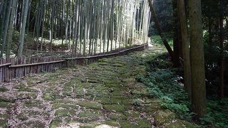 石段に木漏れ日差す坂