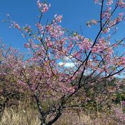 松川湖