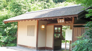 小さいながら素敵な日本庭園