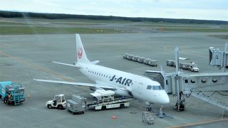 意外と地味です