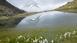 やっぱり、スイスではこの山です！