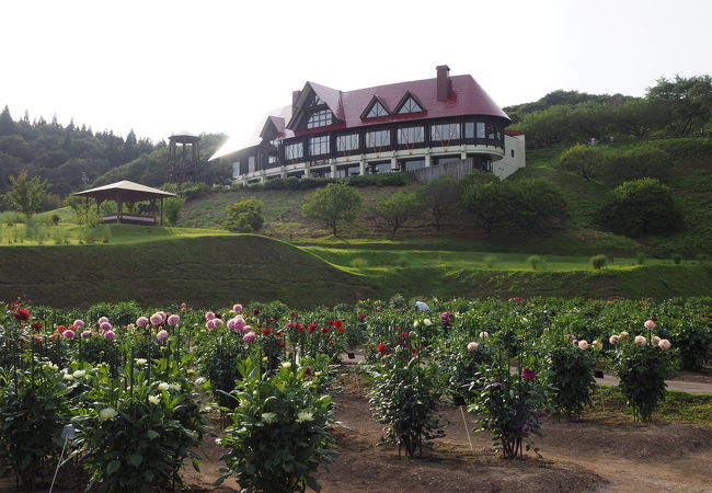 秋田国際ダリア園