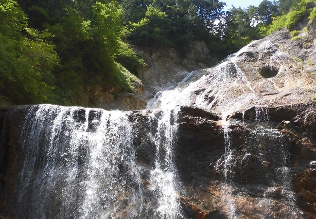 何という贅沢！