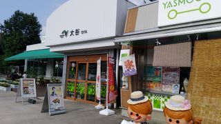 大谷パーキングエリア　餃子定食