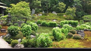 ６月は半夏生の庭