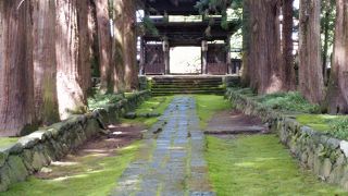 素晴らしい杉並木と庭園が見られます