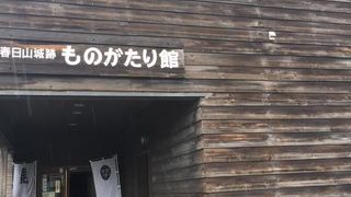 ビデオが参考的