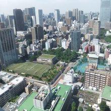 東京タワーからの景色