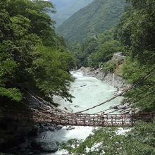 祖谷峡に架かる吊り橋