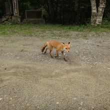 幌満峡