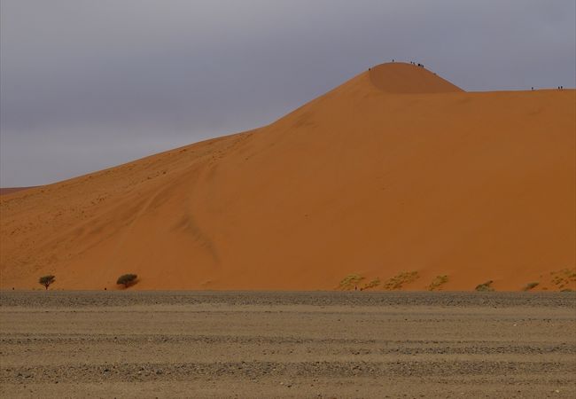 ナミブ・ナウクルフト公園内にある有名な砂丘