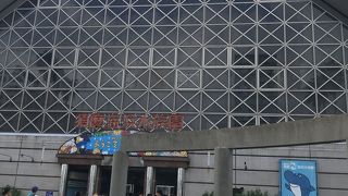 イルカショーが楽しい