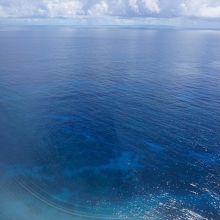 奄美ブルー