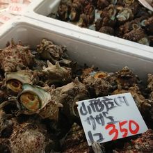 魚介類を販売