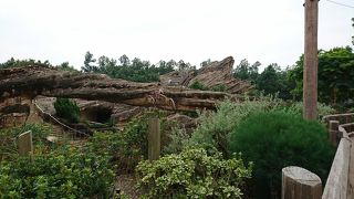 逆走するのがスリリングです。