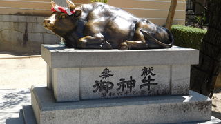 存在感のある御神牛