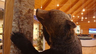 糠平ダムのカードがもらえます