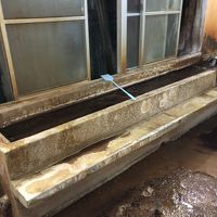 シャワーの代替え