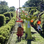 小室山観光リフト　小室神社（小室つつじ神社）　小室山お鉢巡り　