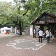 ミニ遊園地や動物園、水生物園、彫刻館があります