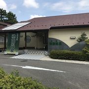 池田温泉新館：臭くてたまらない湯