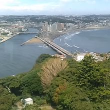 展望灯台からの様子です