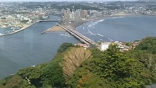 (江の島大橋弁天橋)江の島とセットで一つの風景になっている、なくてはならない橋です