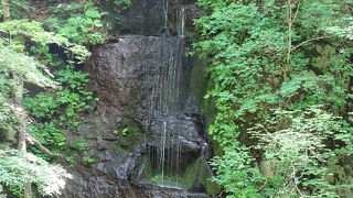 見逃してしまいそうなほど目立ちません。