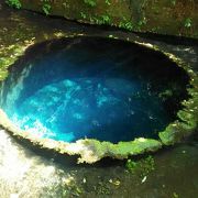 幻想的な青い湧水！