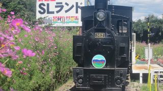 2018年8月、惜しまれつつ閉園となりましたが…。