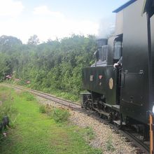 また走る姿がどこかで見られるようになると良いですね！