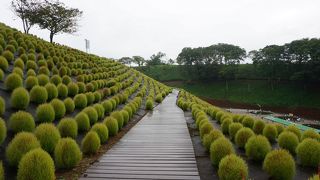 ドイツ感はそれほどない