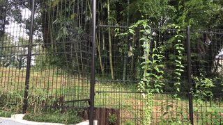 金網で囲まれた草ボウボウの荒地