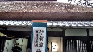 忍者好きの観光客に大人気の観光施設。　でも、見学は流れ作業で写真も撮りづらい感じ…
