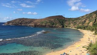 ハナウマ湾で体験ダイビングに参加しました