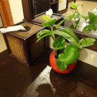 でもなにげに、生花（葉）が活けられている