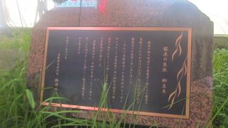 歩道脇にひっそりと発見しました