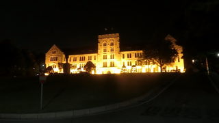 高麗大学校