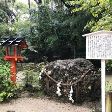 さざれ石、とはこれのようだ。