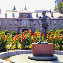 バラ園の真っ赤なバラに囲まれて…、後ろは「札幌市資料館」